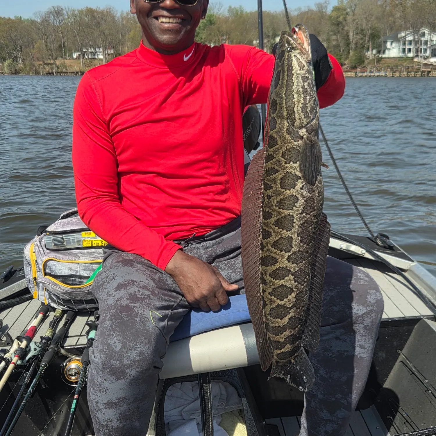 The most recent Northern snakehead catches on Fishbrain