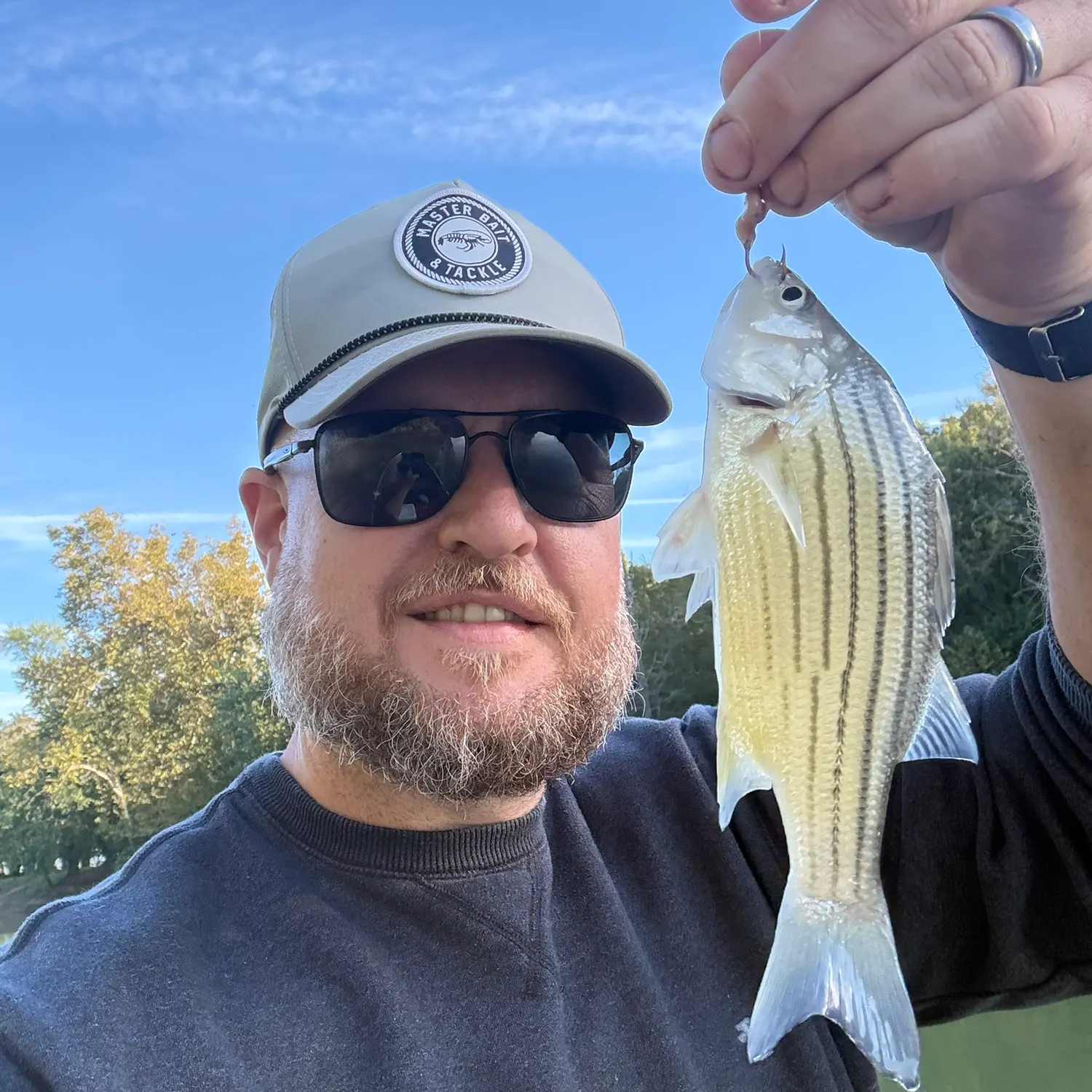 Striped bass caught on Fishbrain