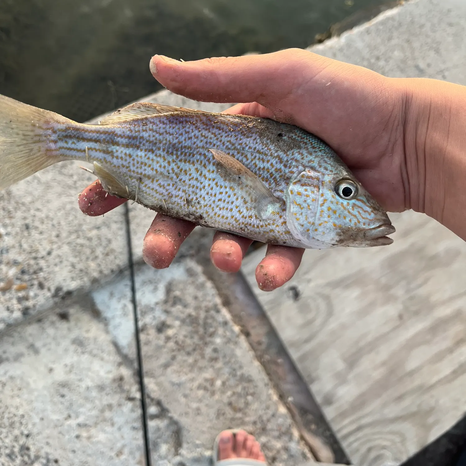 catch