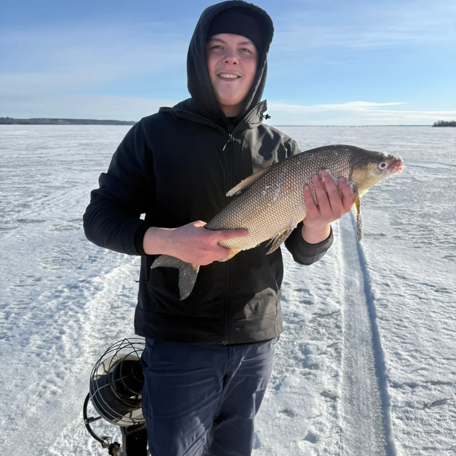 The most recent Lake whitefish catches on Fishbrain