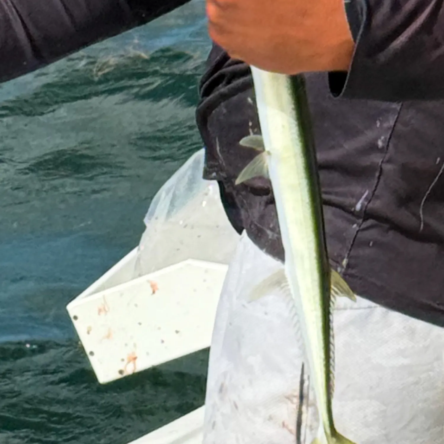 most liked catch image