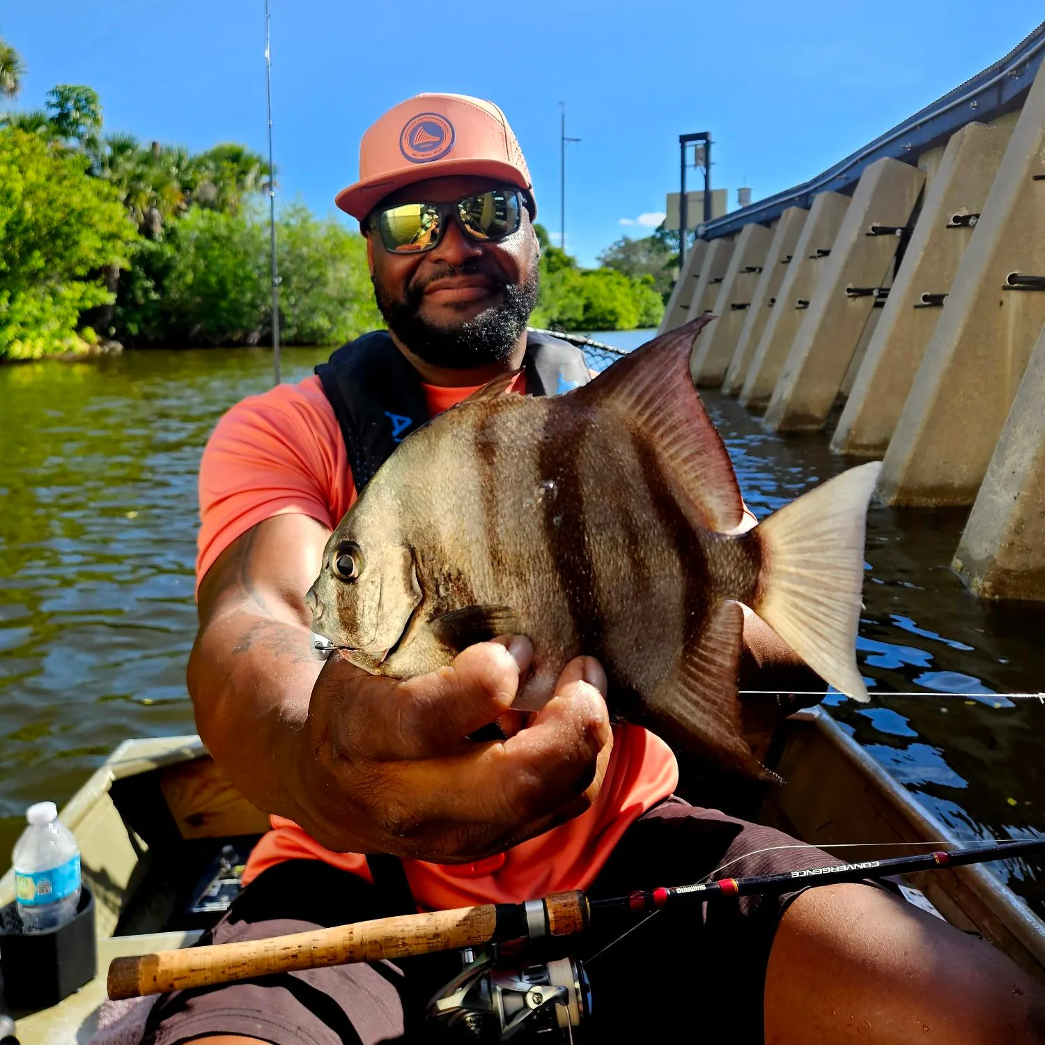 The most recent Atlantic spadefish catches on Fishbrain