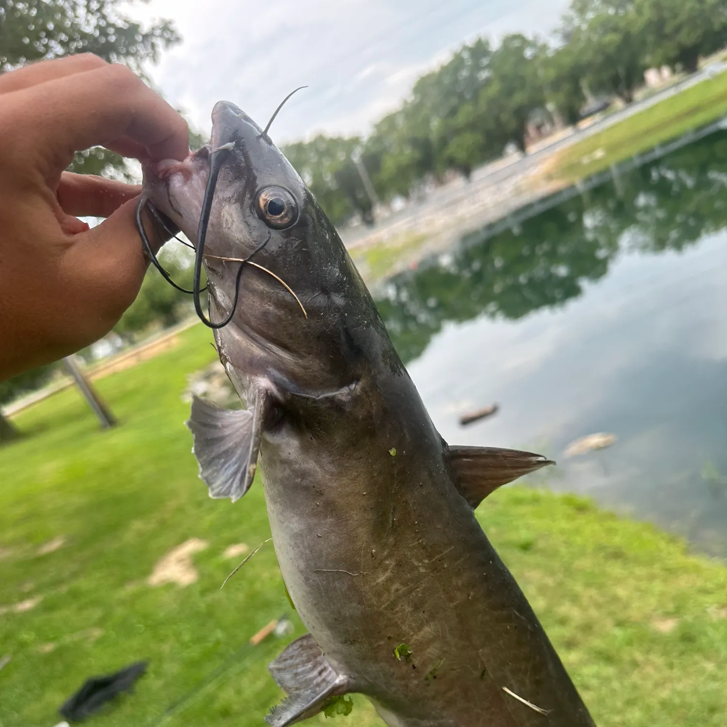 catch