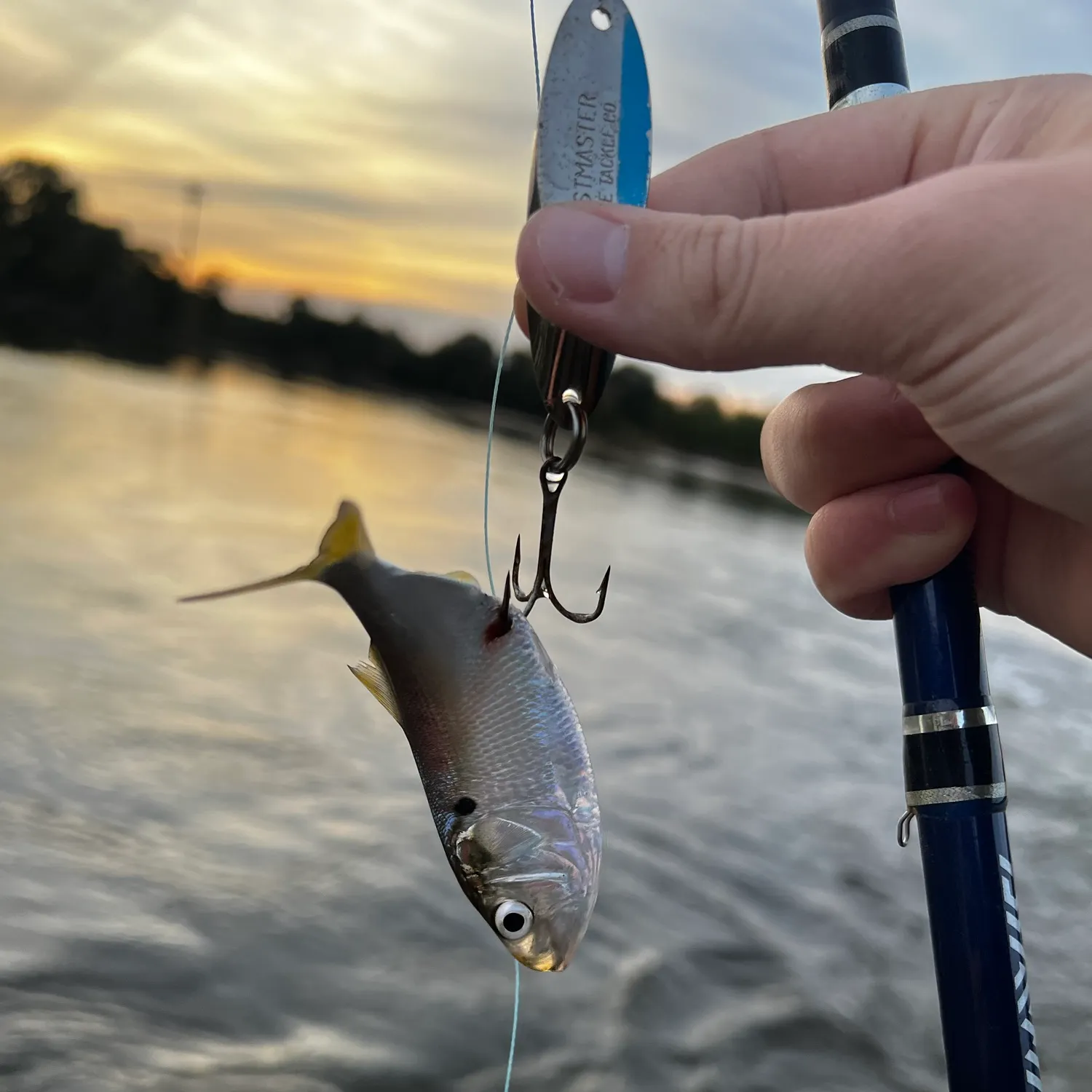 The most recent Atlantic menhaden catches on Fishbrain