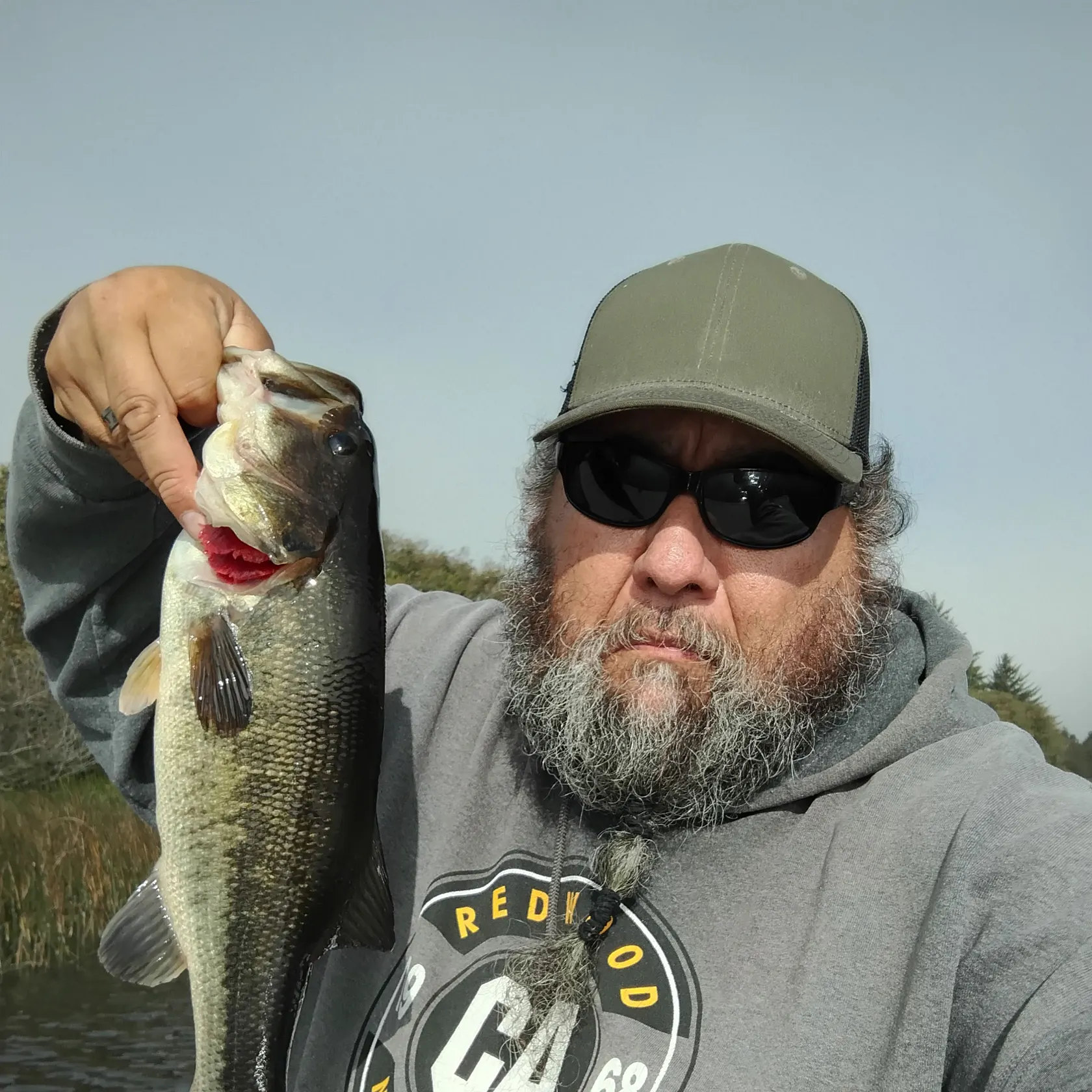 Largemouth bass caught on Fishbrain