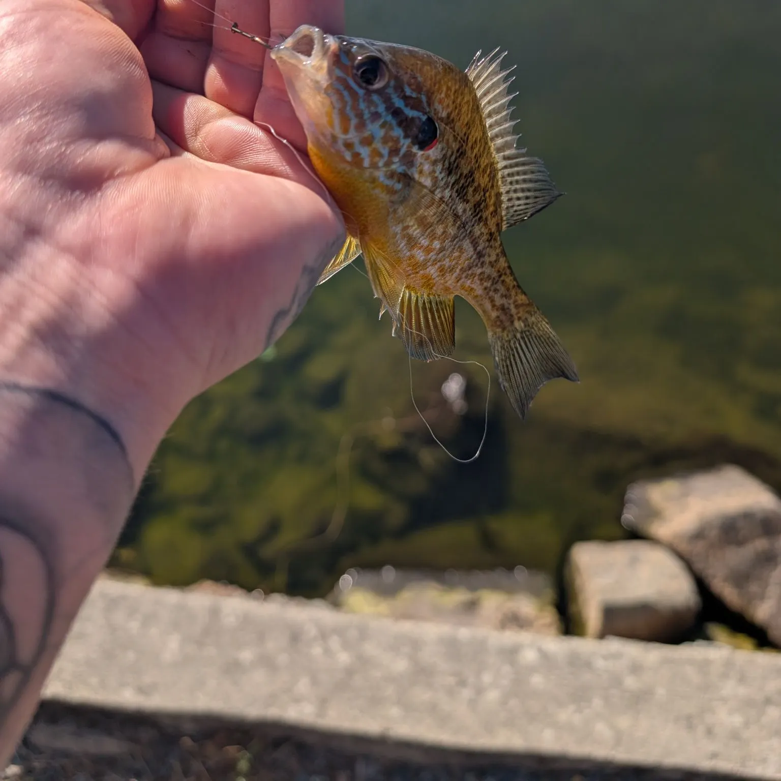 catch