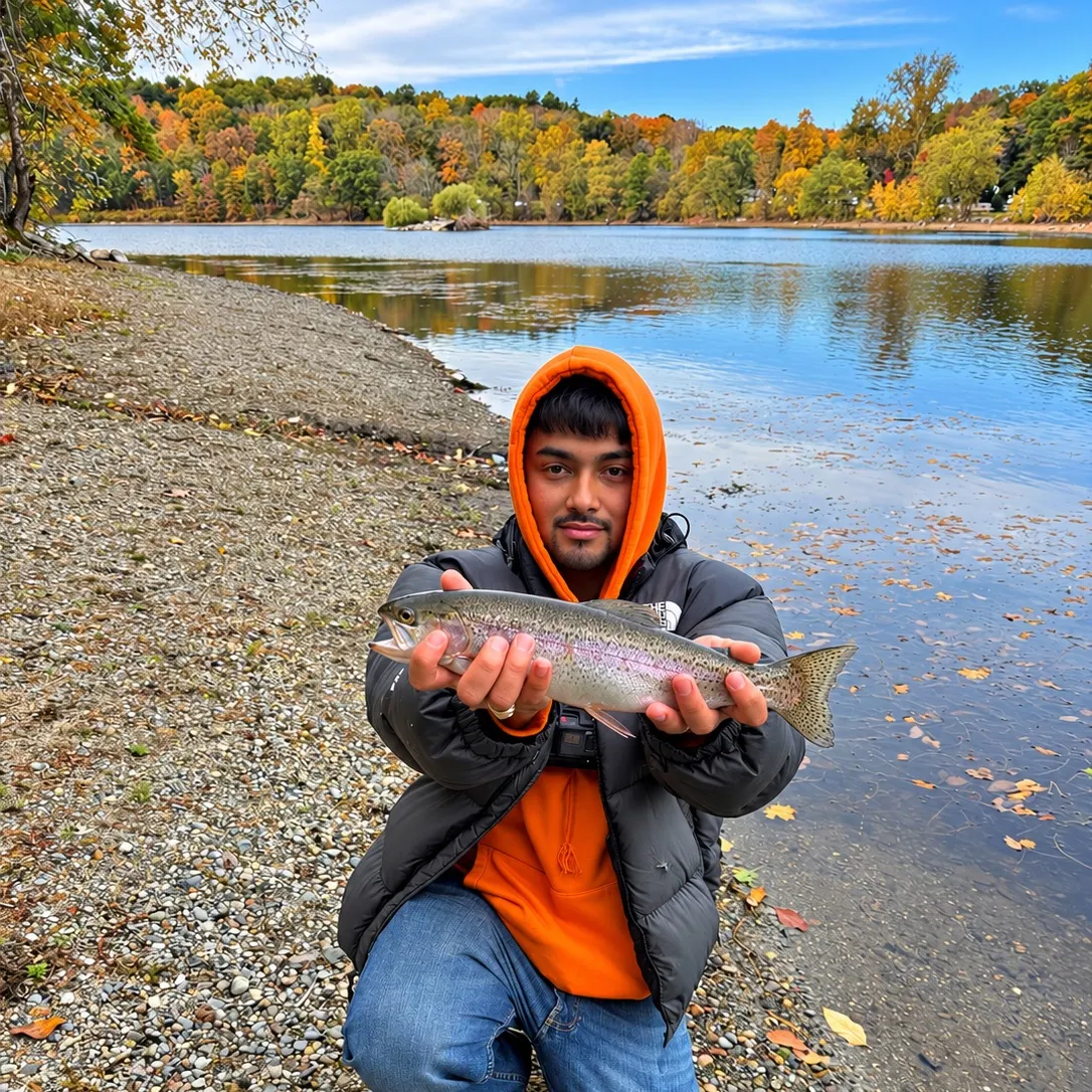 Rainbow trout caught on Fishbrain