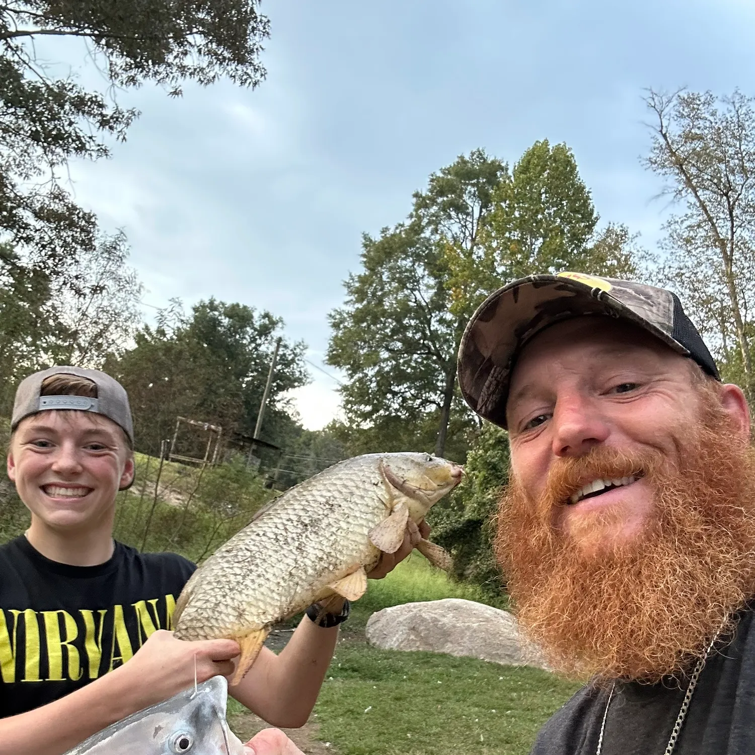 Common carp caught on Fishbrain