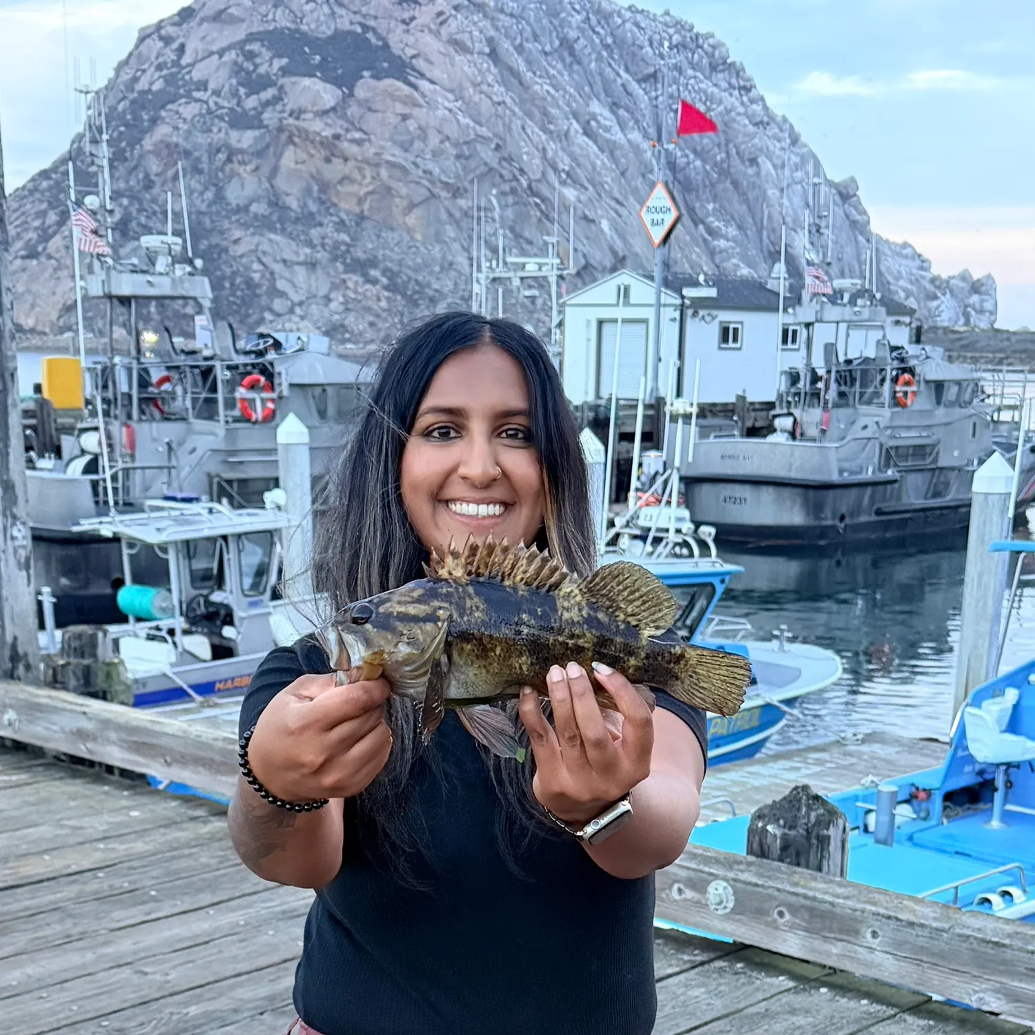 The most recent Grass rockfish catches on Fishbrain