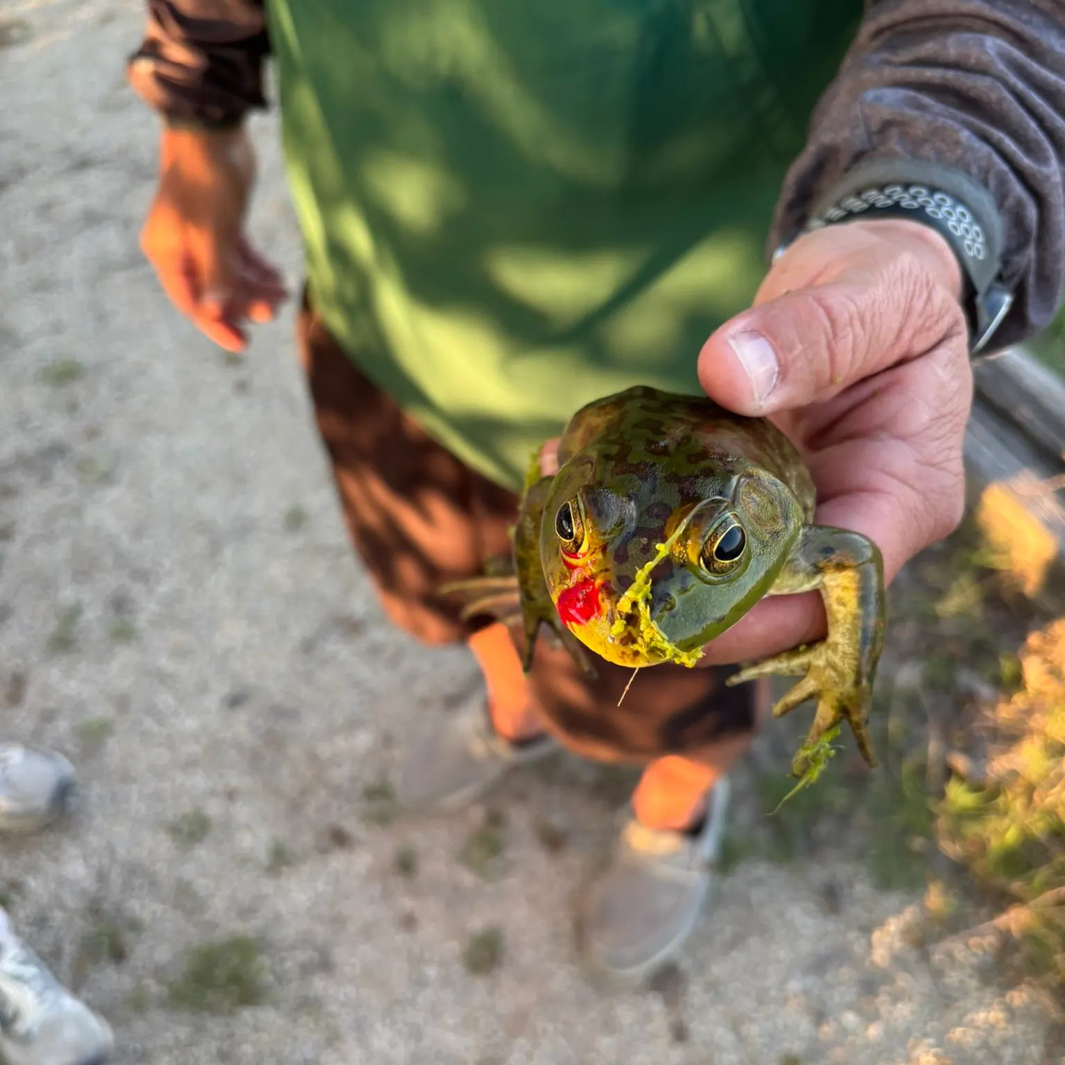 catch