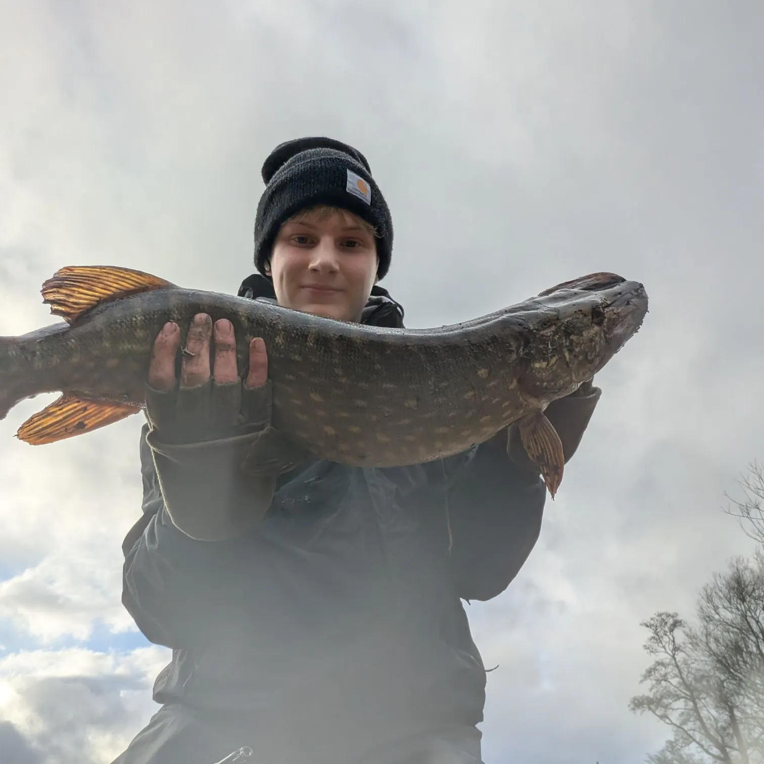 The most recent Northern pike catches on Fishbrain