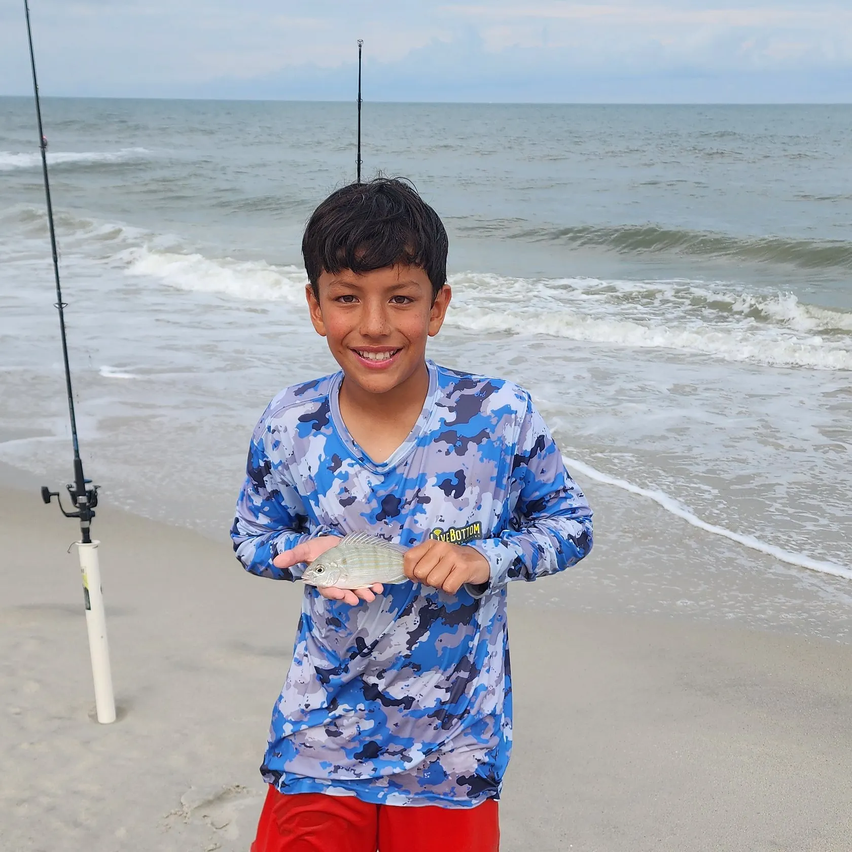 The most recent Pinfish catches on Fishbrain