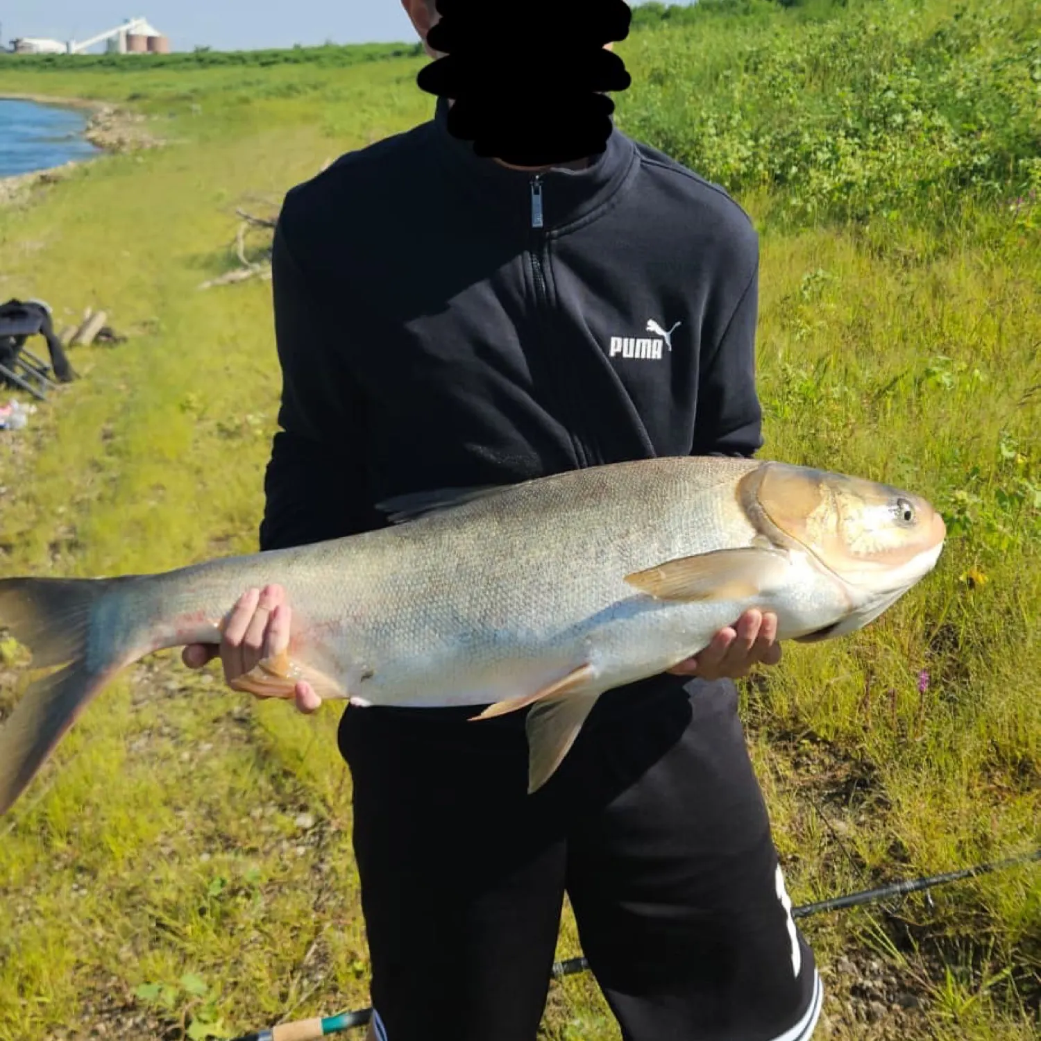 The most recent Silver carp catches on Fishbrain
