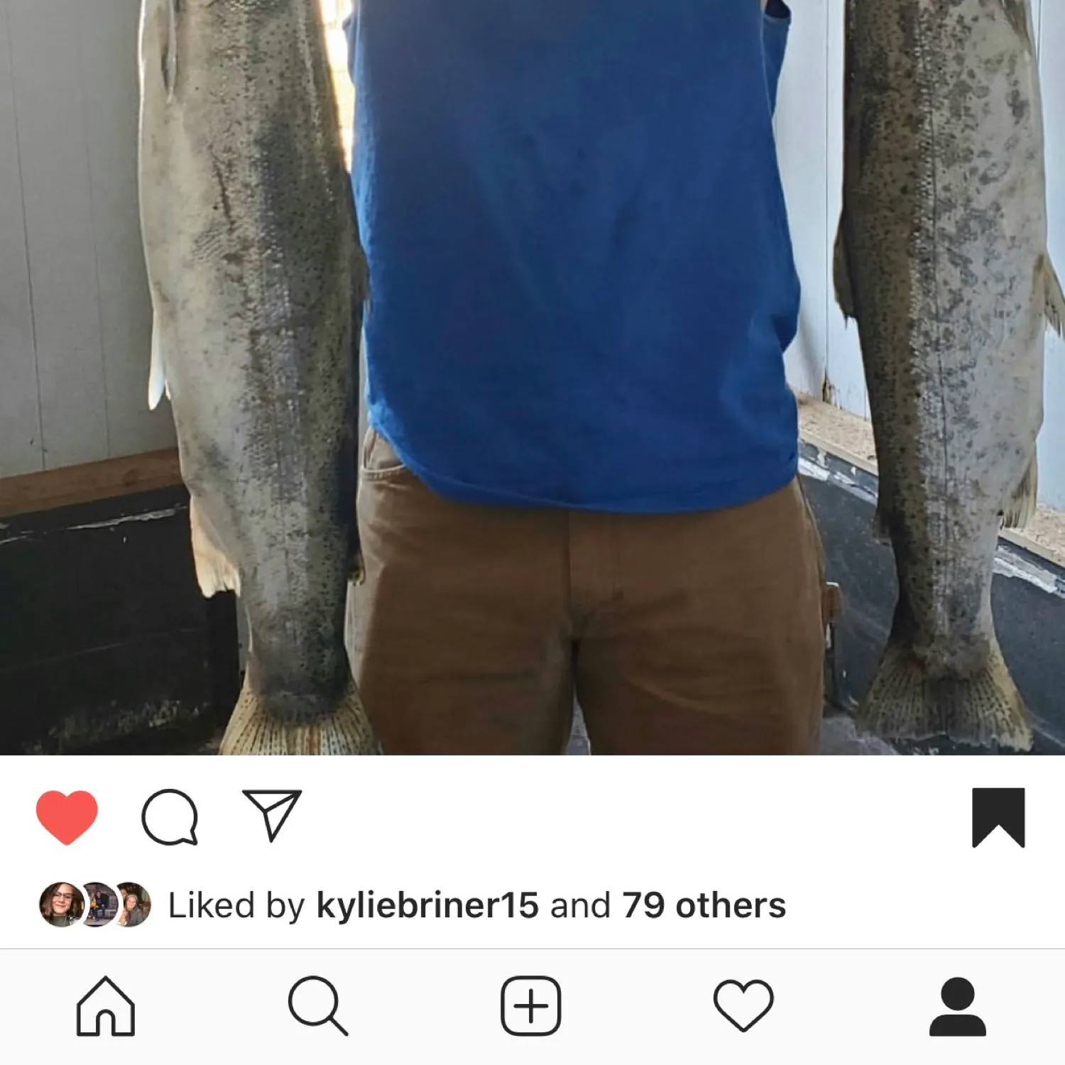 recently logged catches