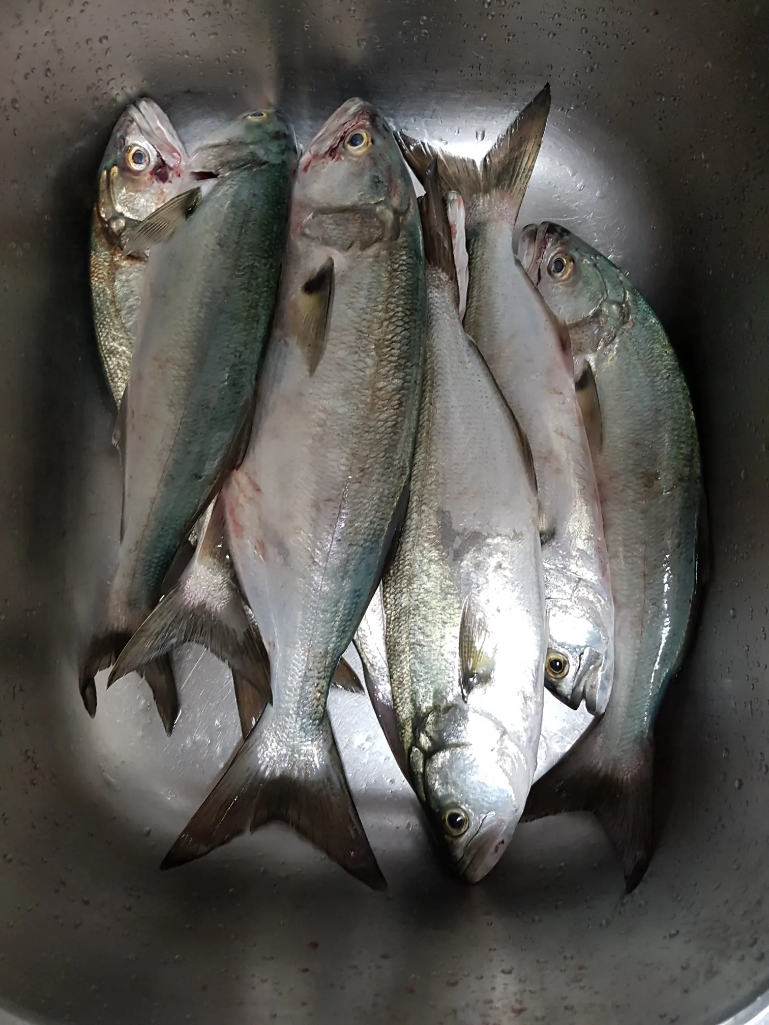 Post image from sbelovolov247