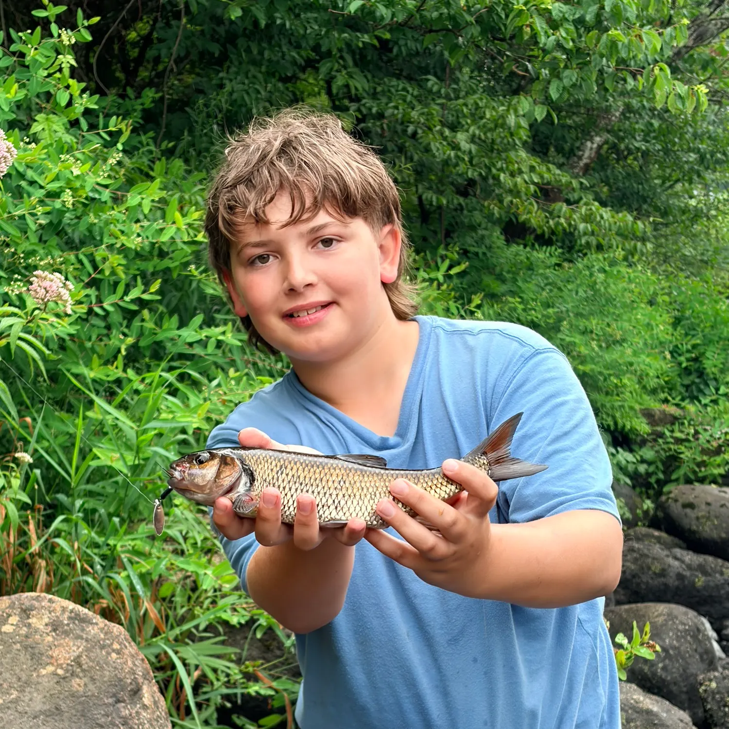 The most recent Fallfish catches on Fishbrain