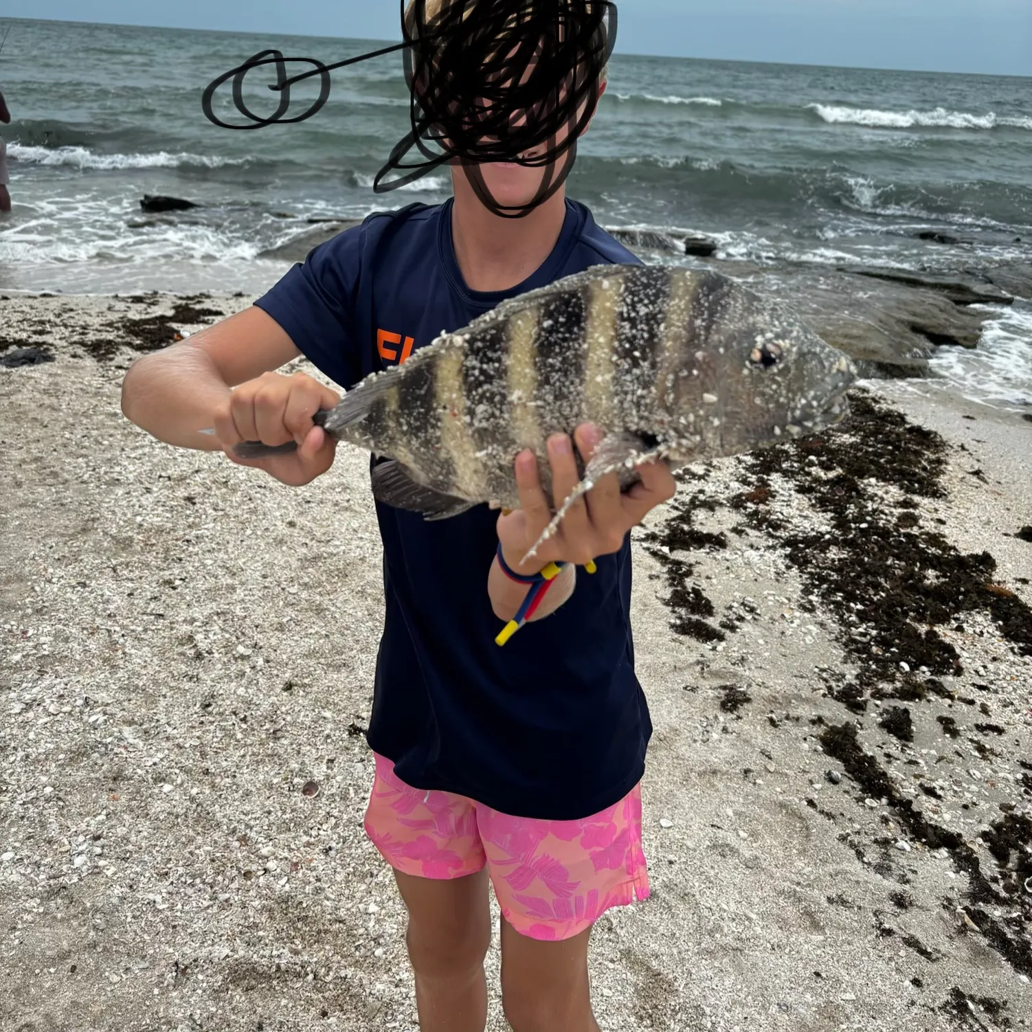 The most recent Sheepshead catches on Fishbrain