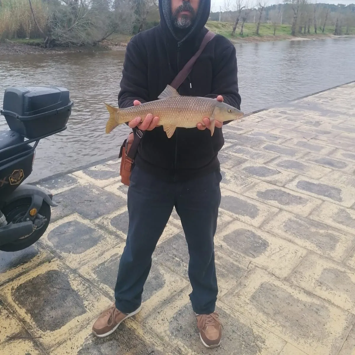 The most recent Common barbel catches on Fishbrain
