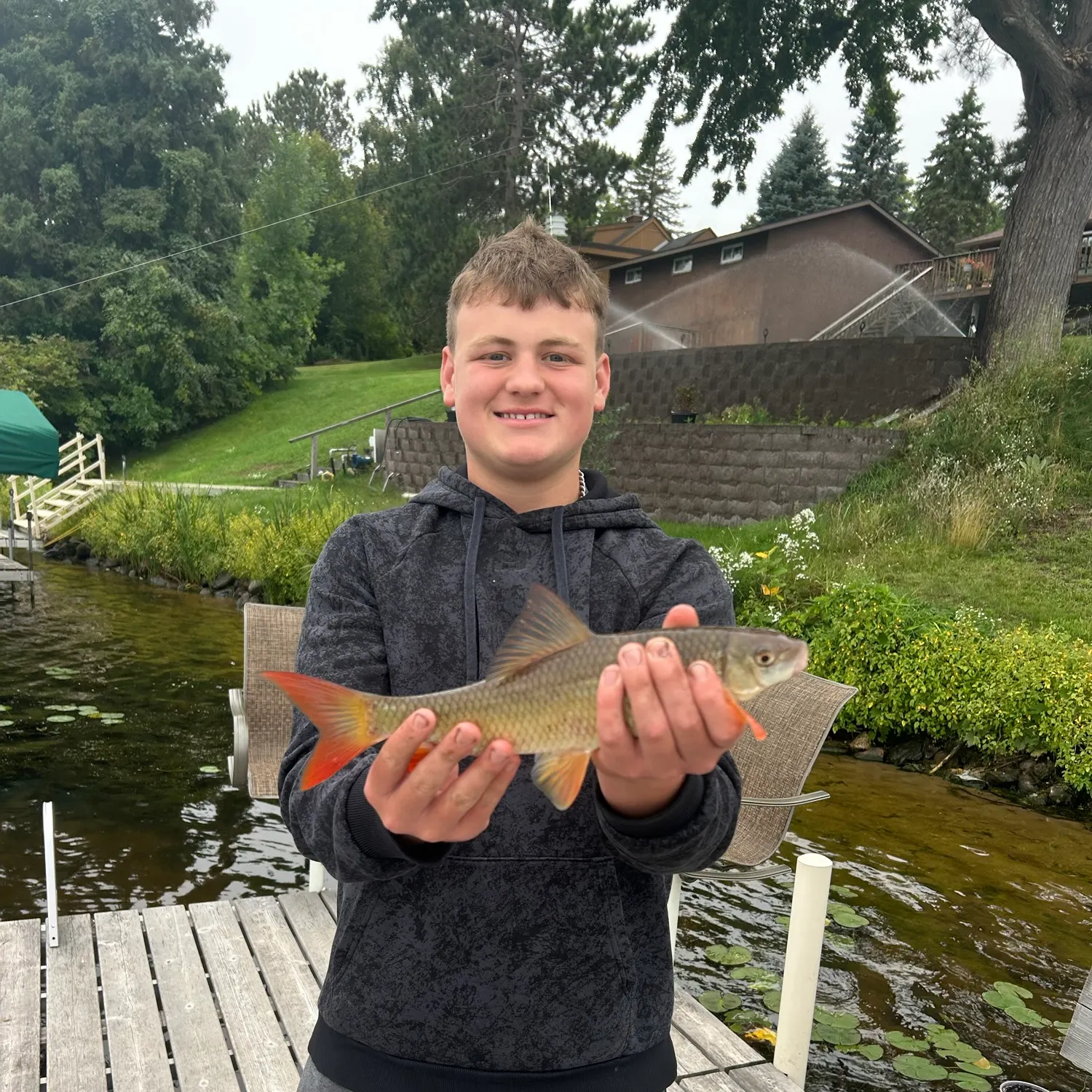 Shorthead redhorse caught on Fishbrain