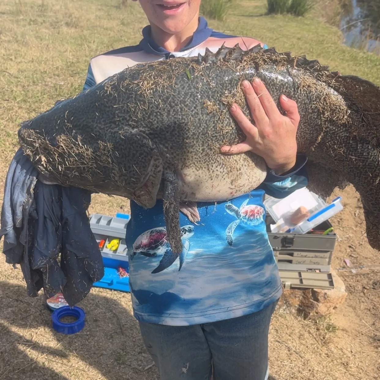 The most recent Murray cod catches on Fishbrain