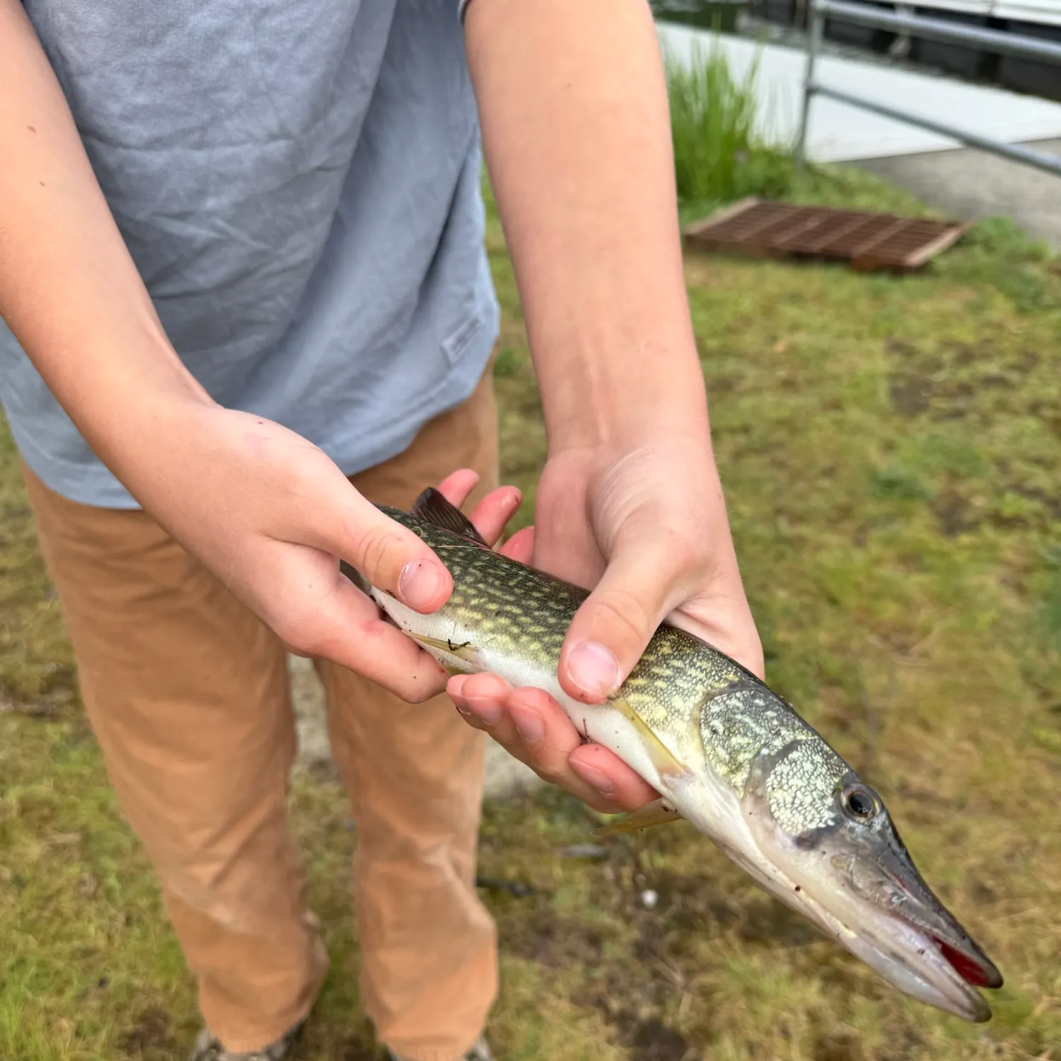 catch
