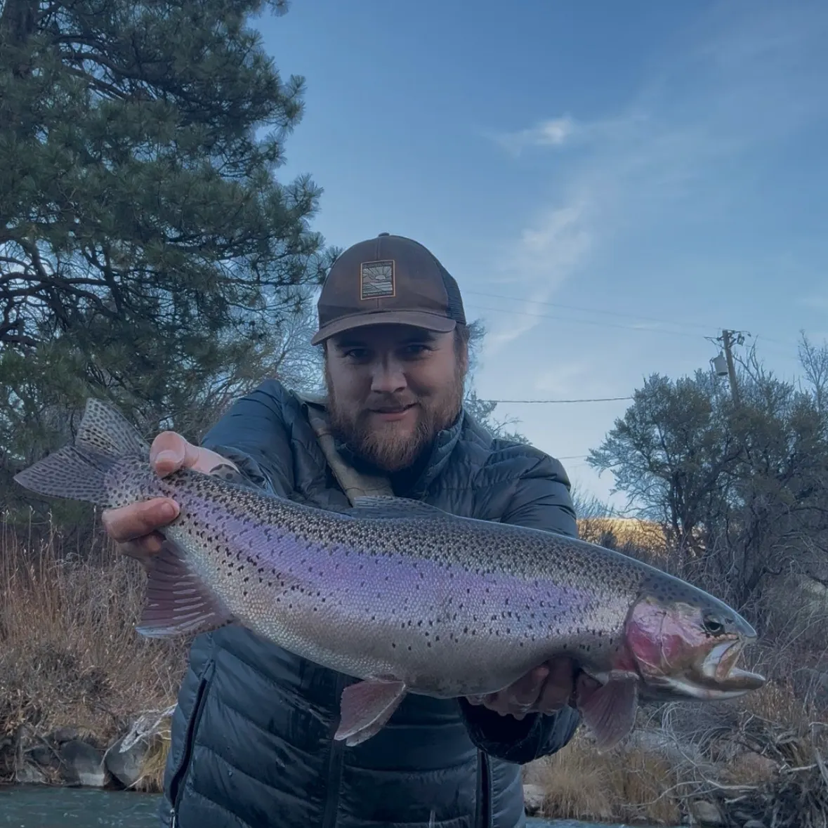 The most recent Cutbow catches on Fishbrain