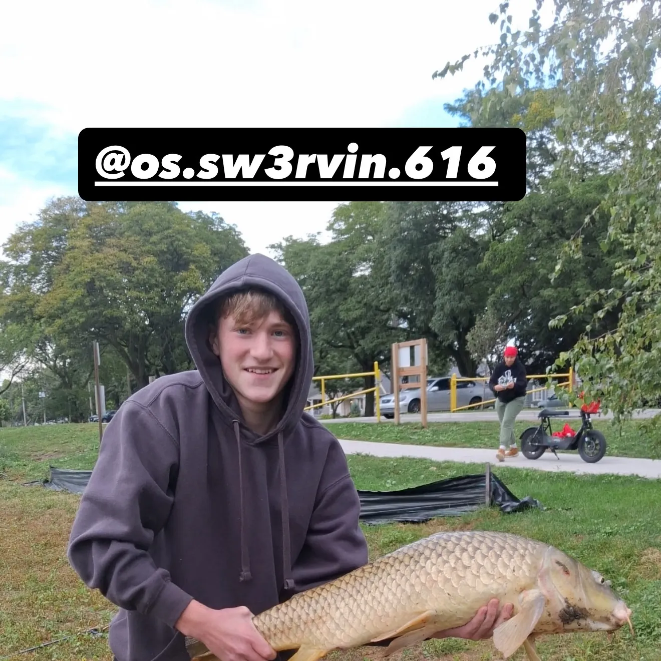 Common carp caught on Fishbrain