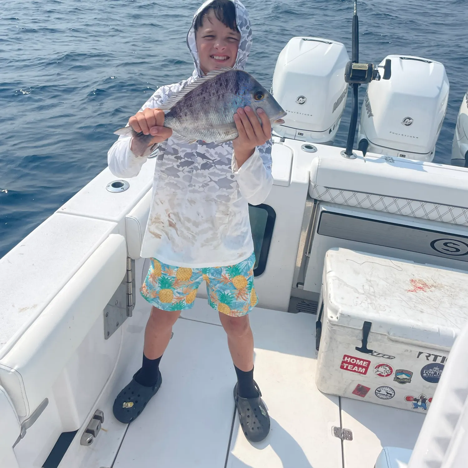 The most recent Starry triggerfish catches on Fishbrain