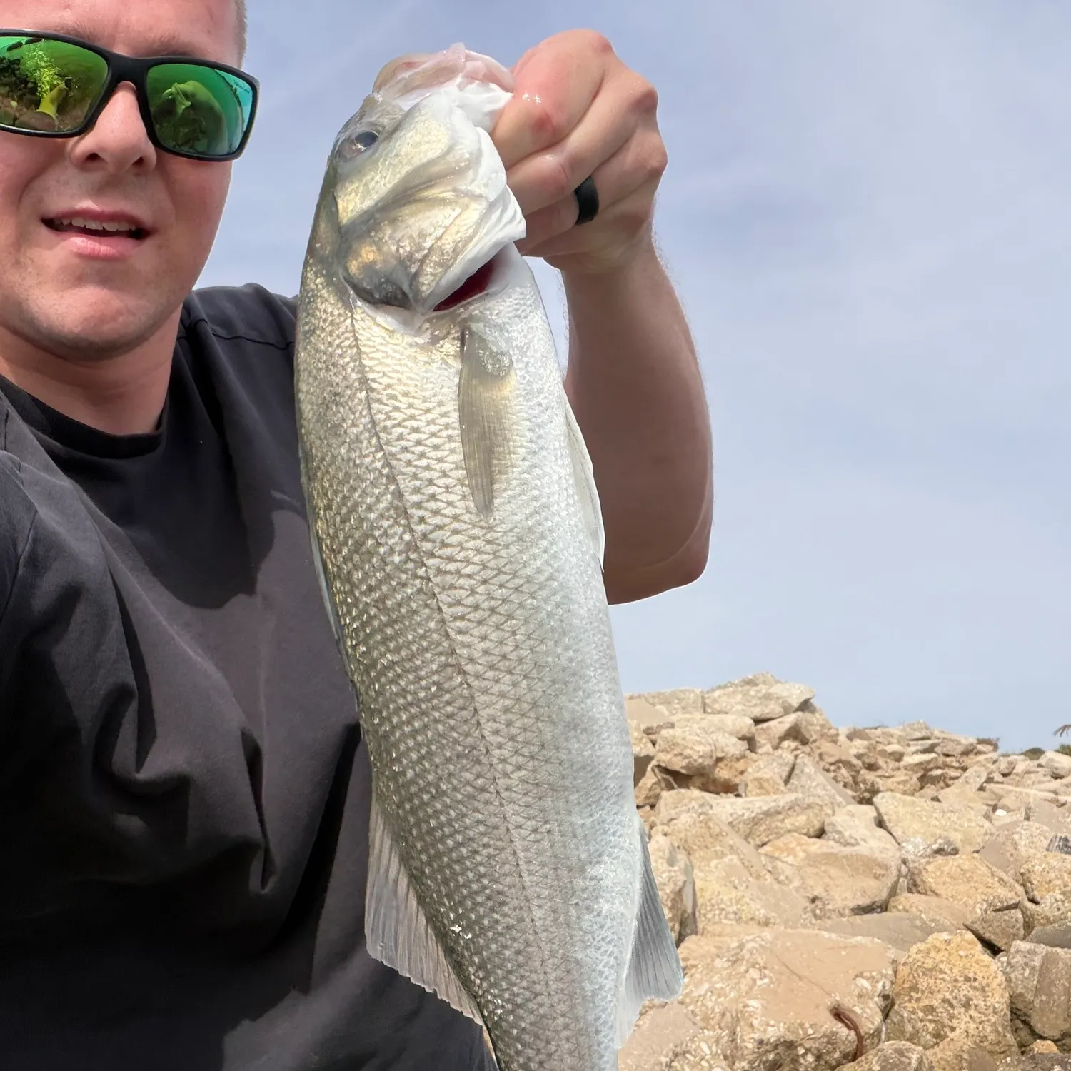 European seabass caught on Fishbrain