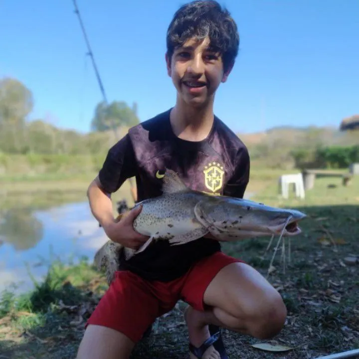 The most recent Spotted sorubim catches on Fishbrain