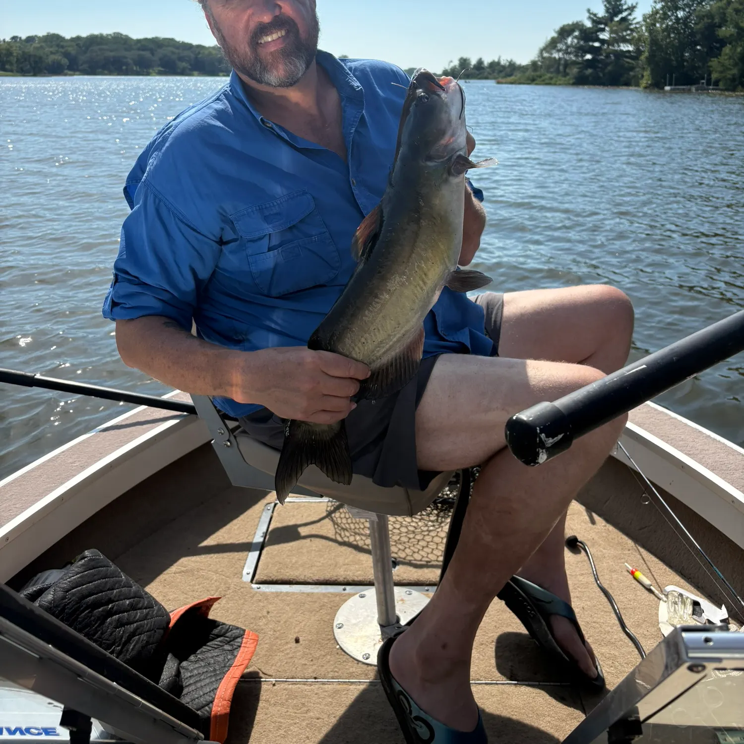 Channel catfish caught on Fishbrain