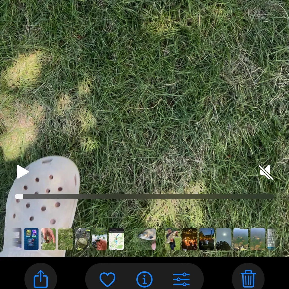 recently logged catches