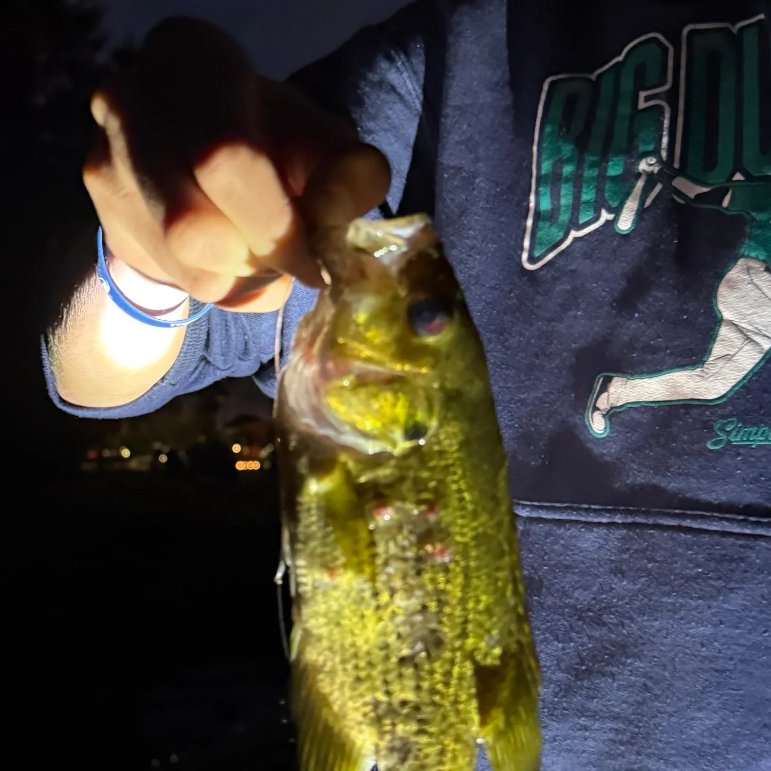 Rock bass caught on Fishbrain