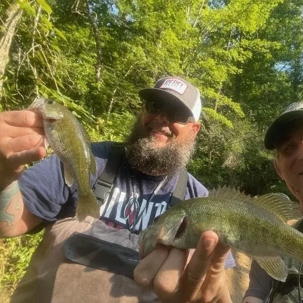 The most recent Bartram's bass catches on Fishbrain