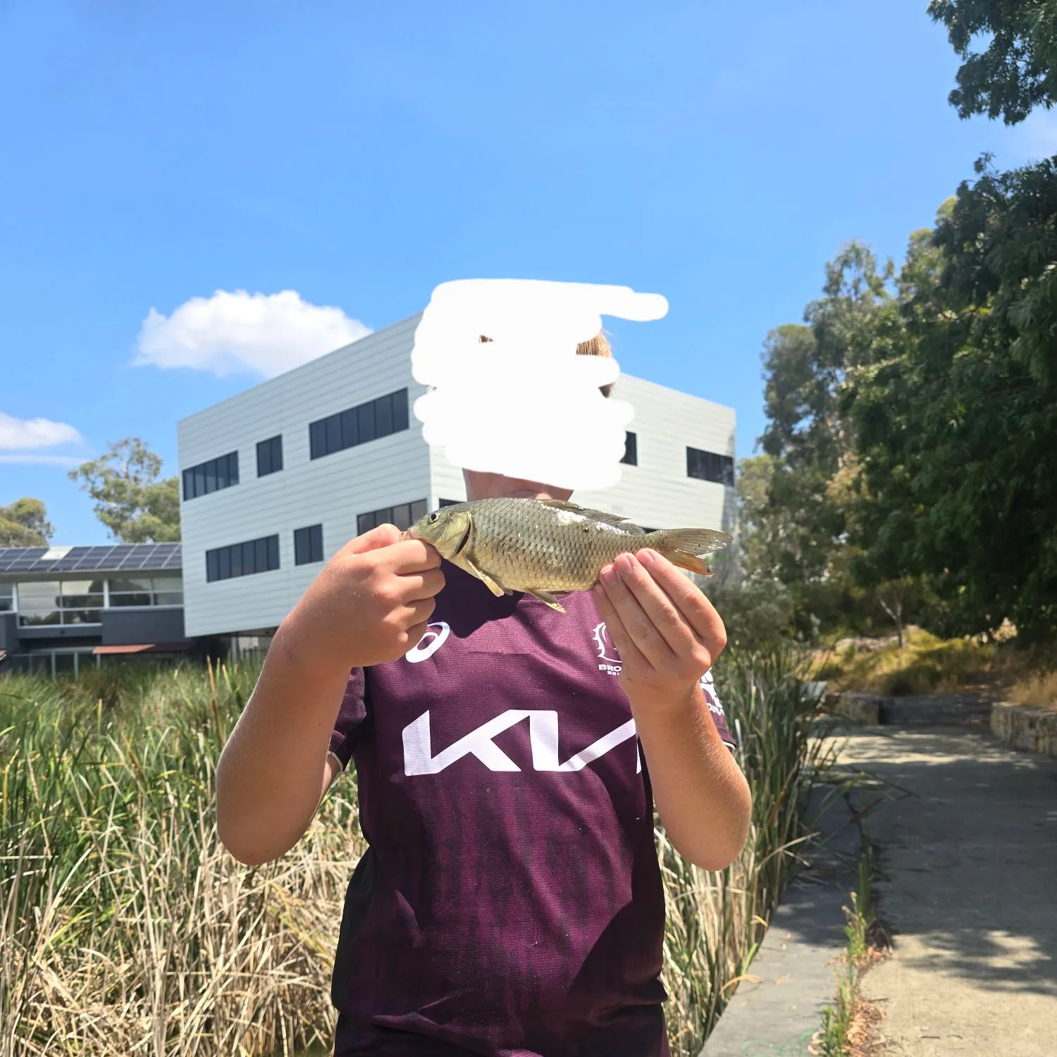 The most recent Common carp catches on Fishbrain