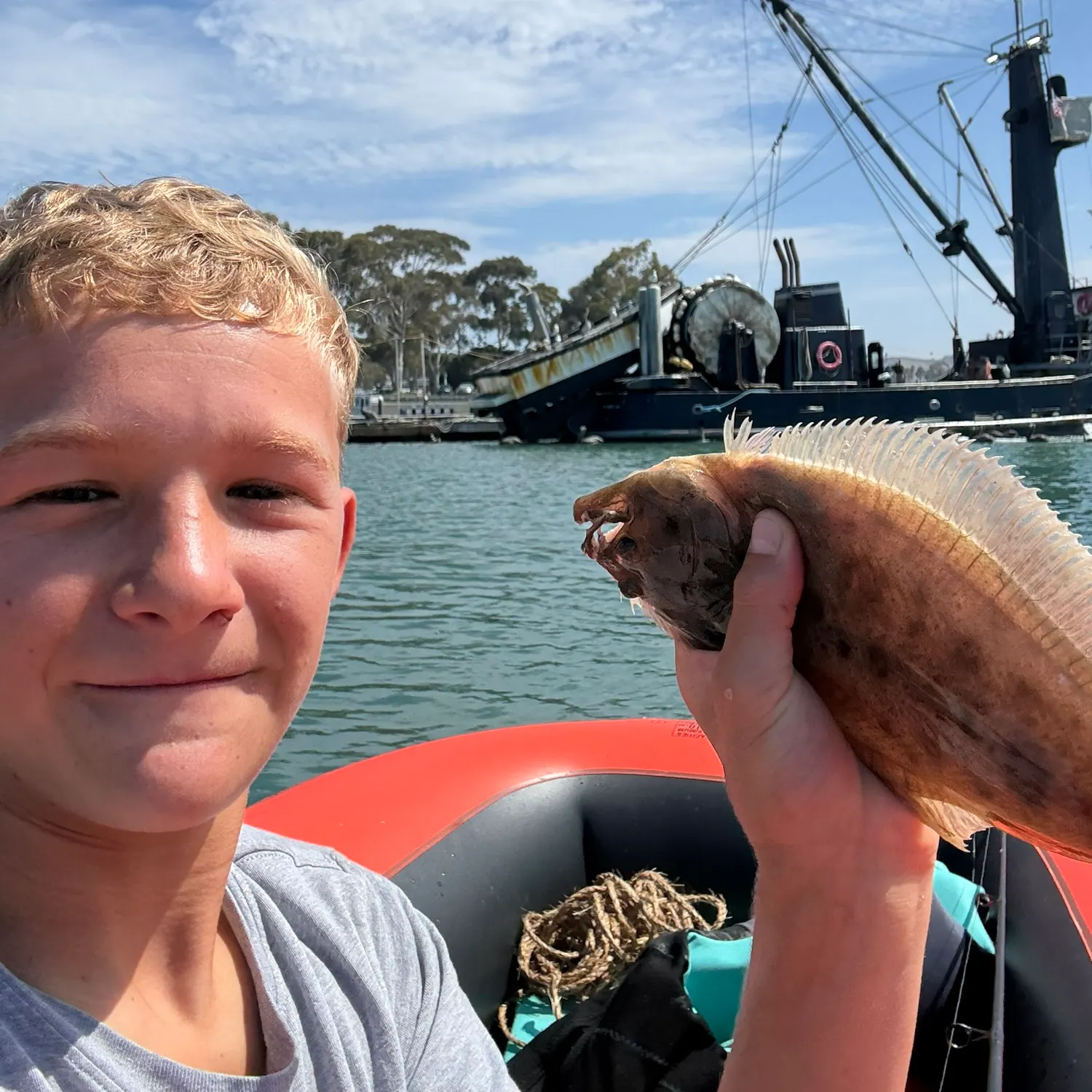 The most recent California halibut catches on Fishbrain