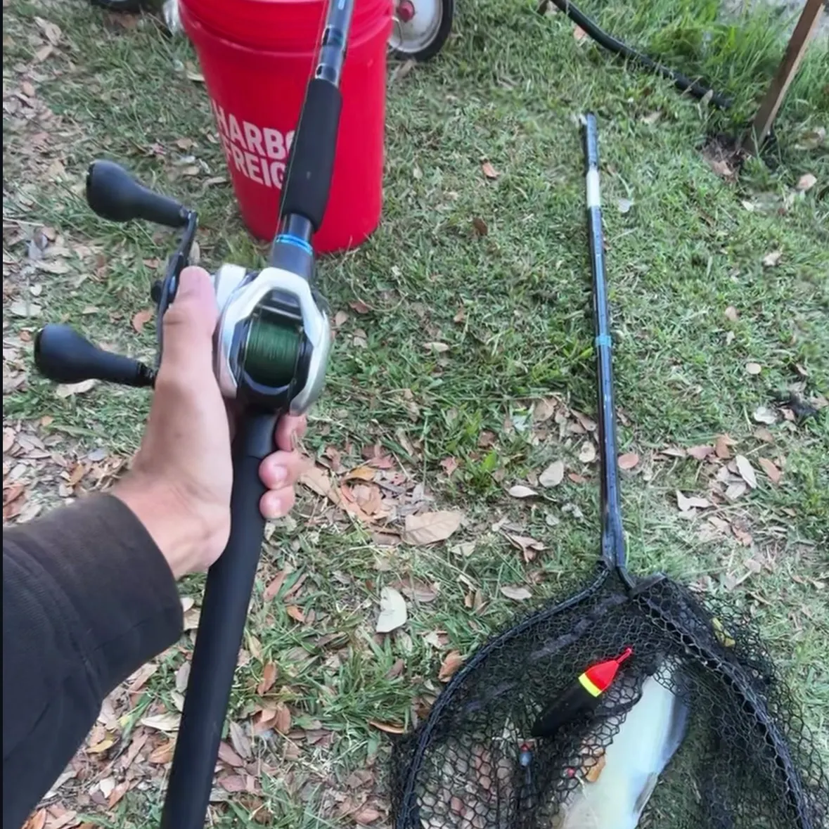 catch