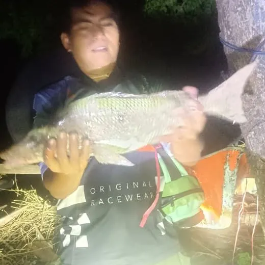 The most recent Malabar grouper catches on Fishbrain