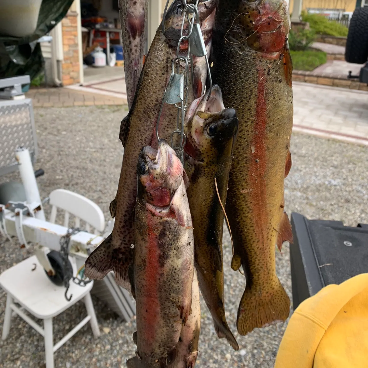 recently logged catches