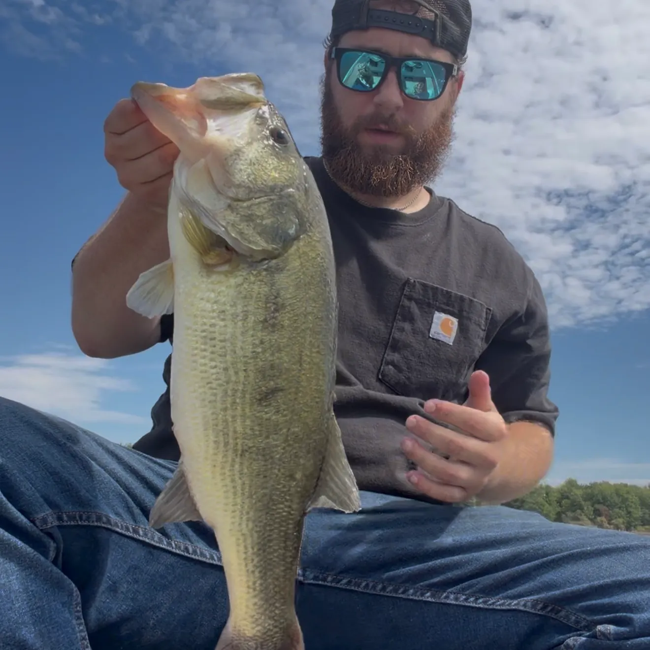 Largemouth bass caught on Fishbrain