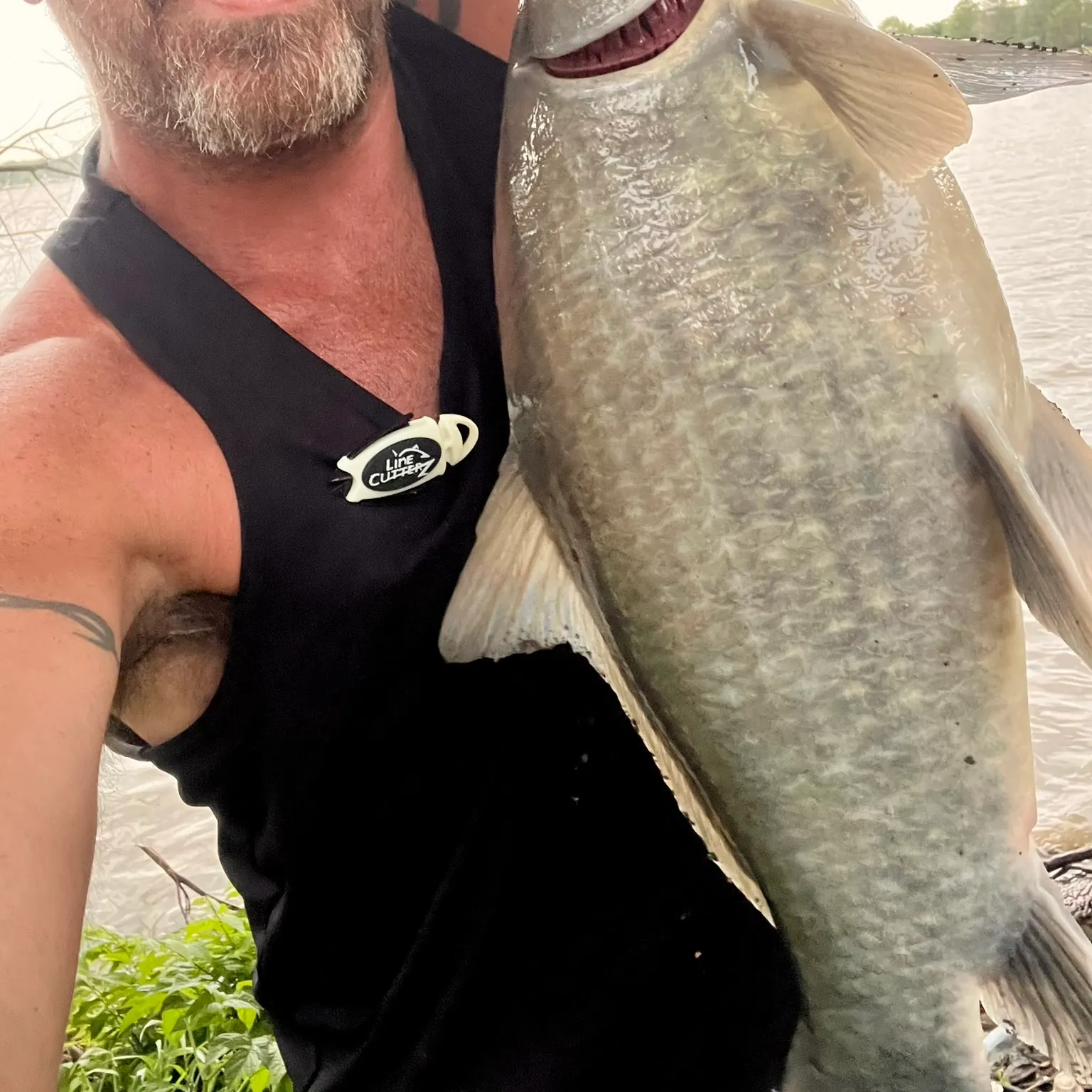 The most recent Black buffalo catches on Fishbrain