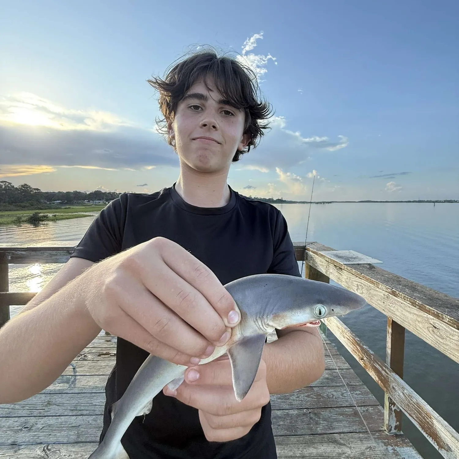 The most recent Milk shark catches on Fishbrain