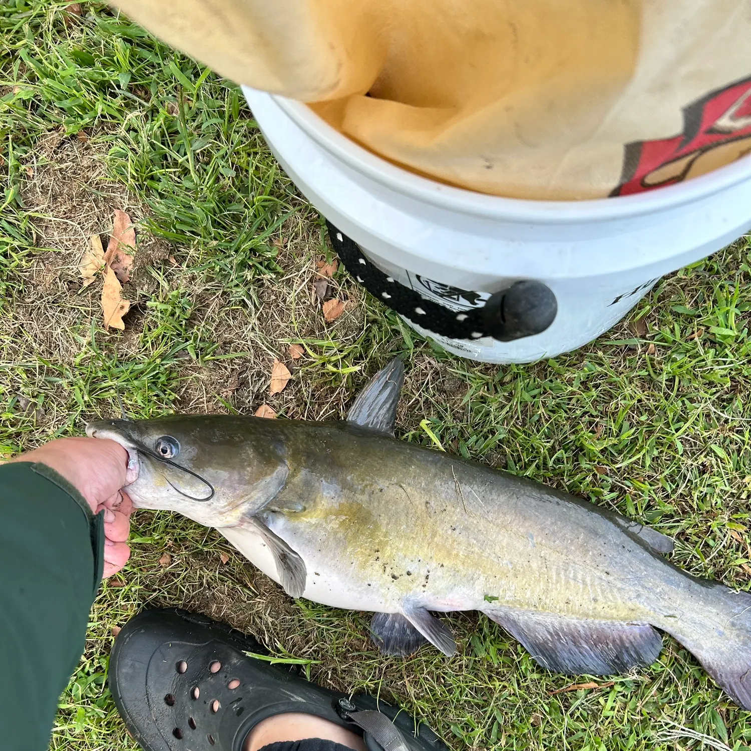 catch