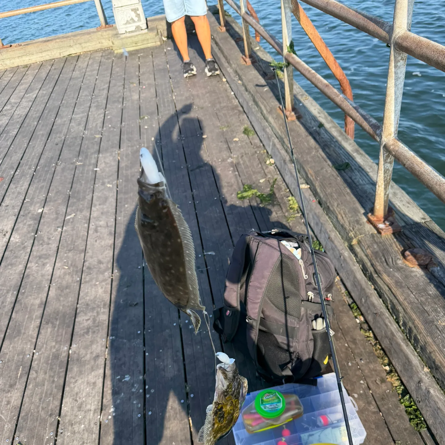 catch