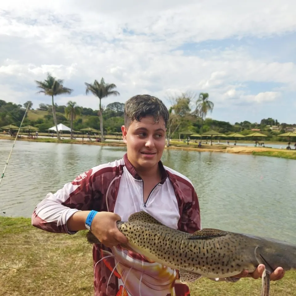 The most recent Golden dorado catches on Fishbrain
