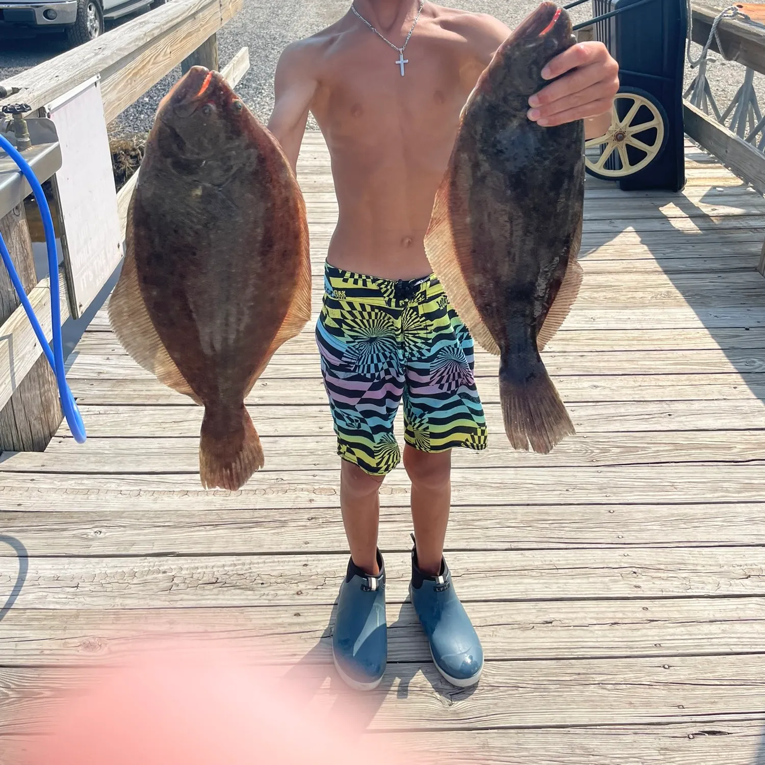 Summer flounder caught on Fishbrain