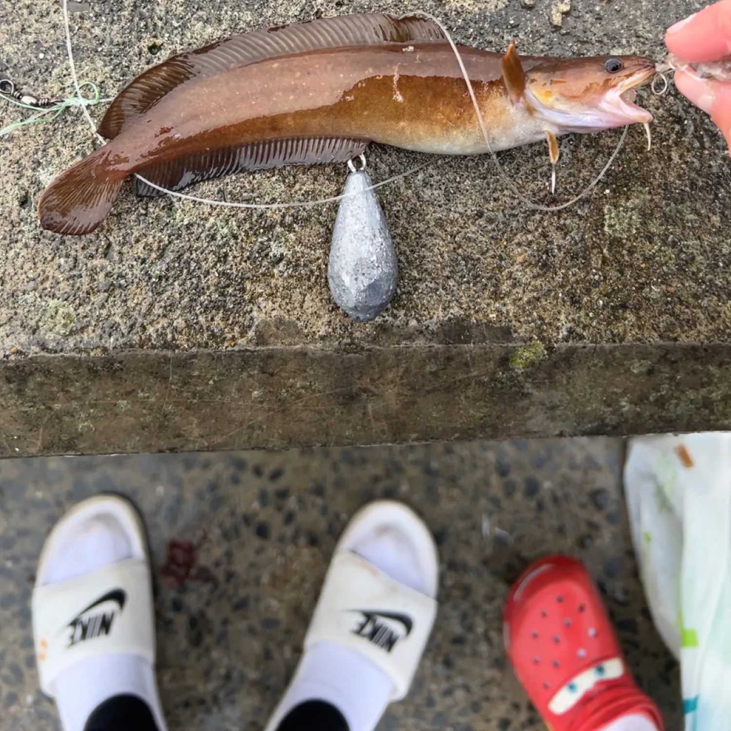 most liked catch image