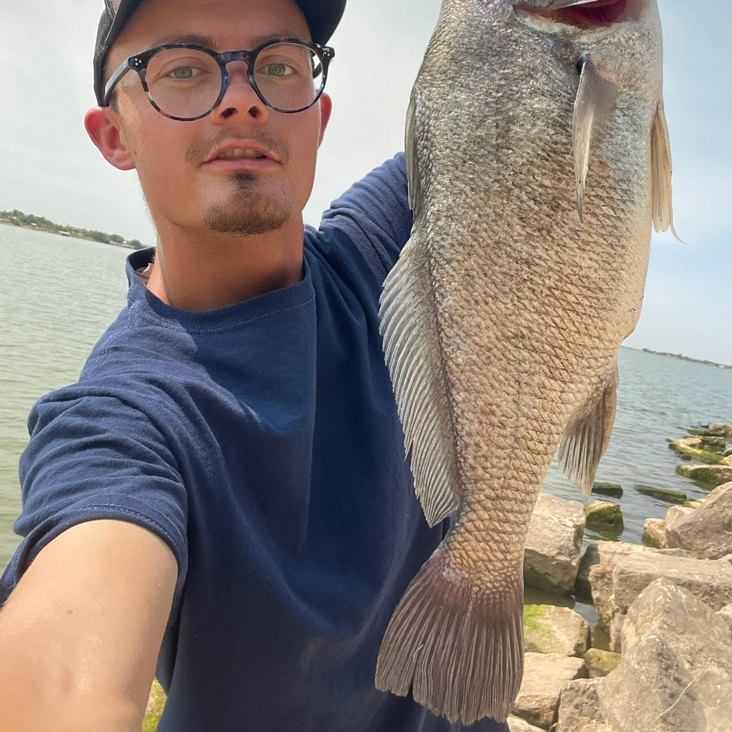 Freshwater drum caught on Fishbrain