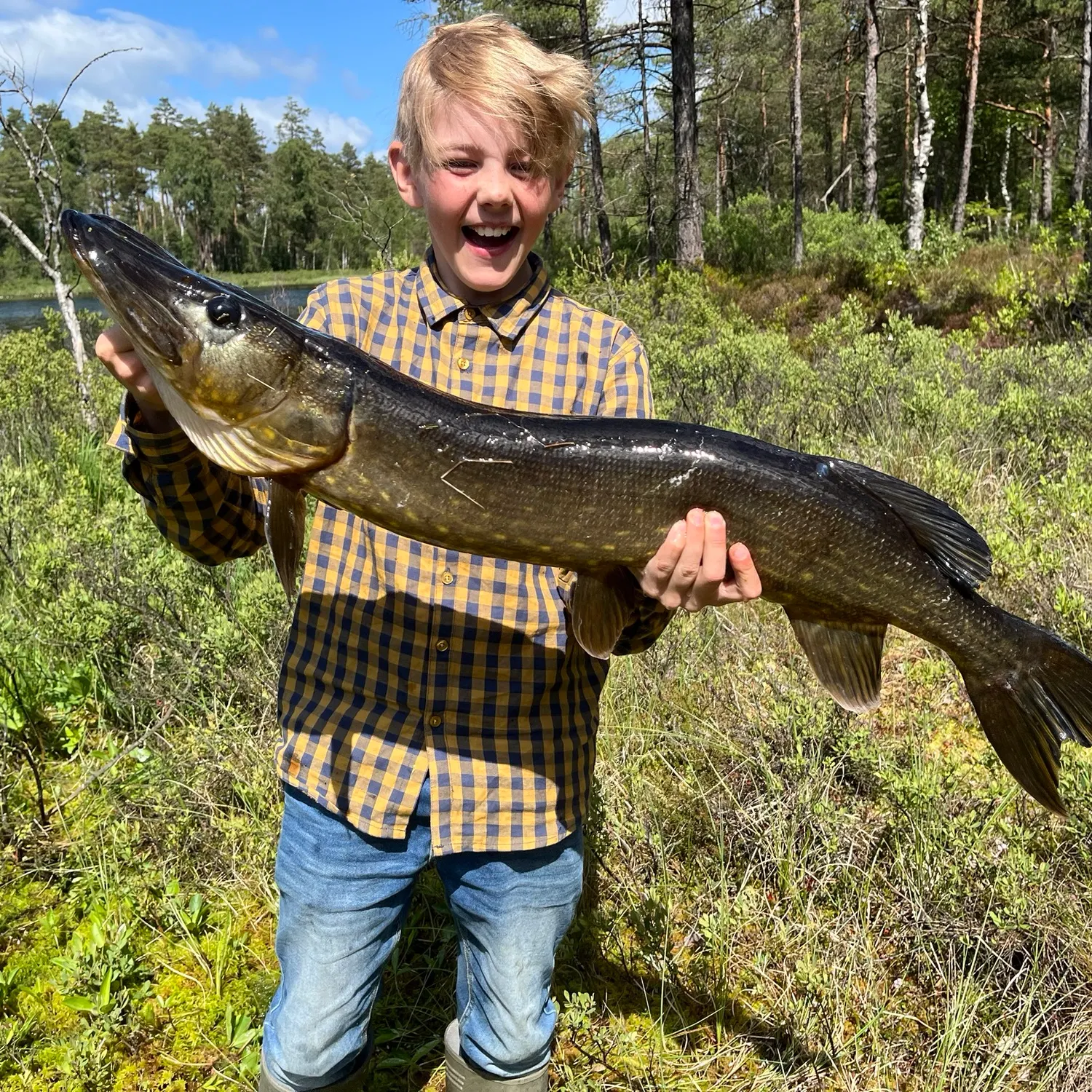 catch