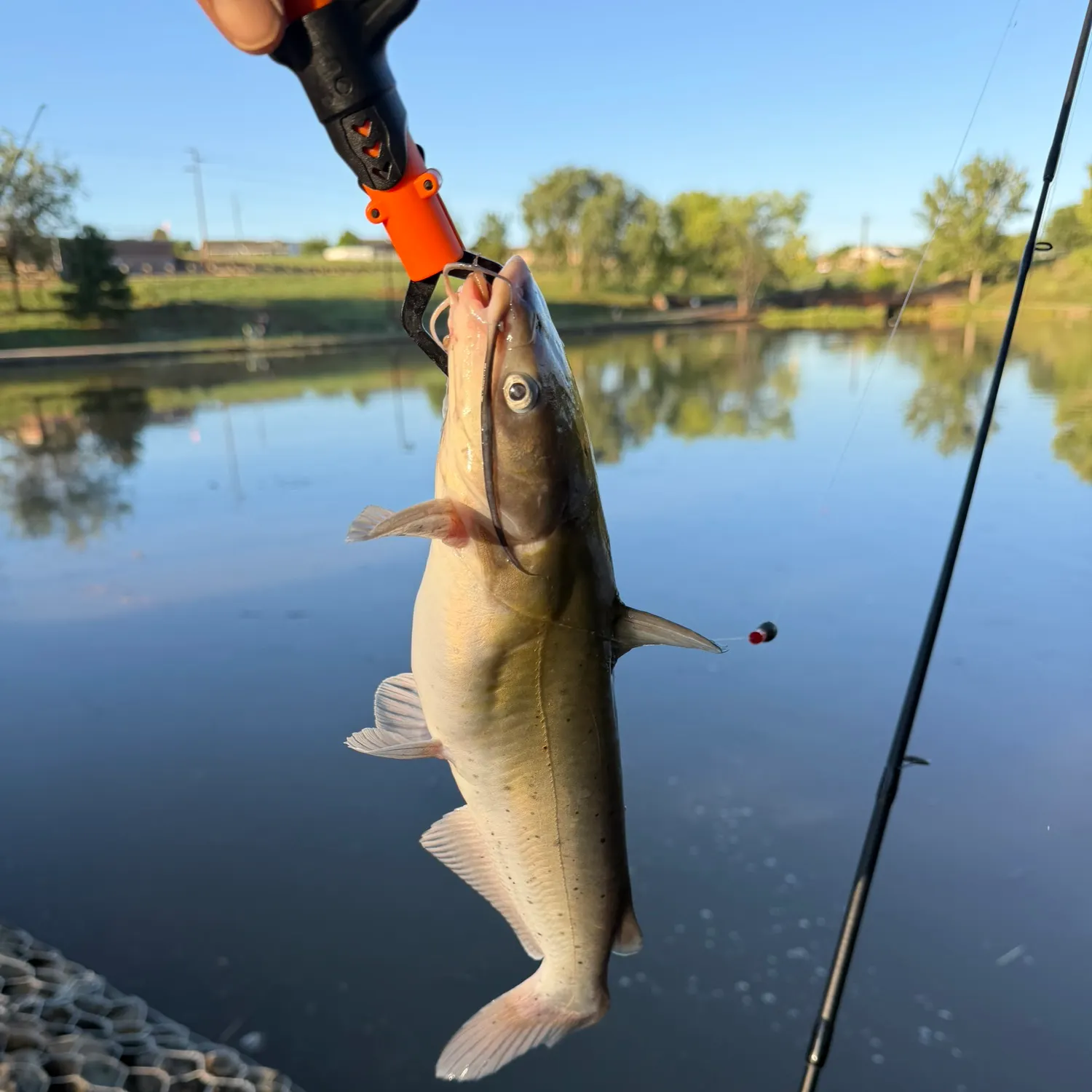 catch